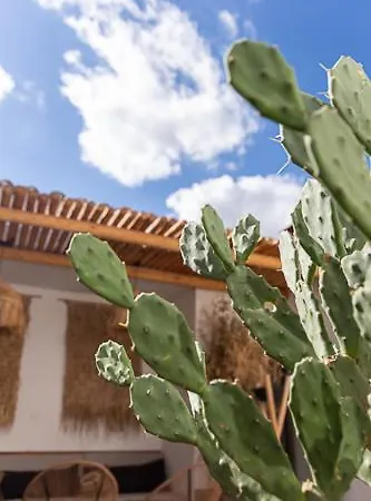 Maison d'hôtes Le S 4*